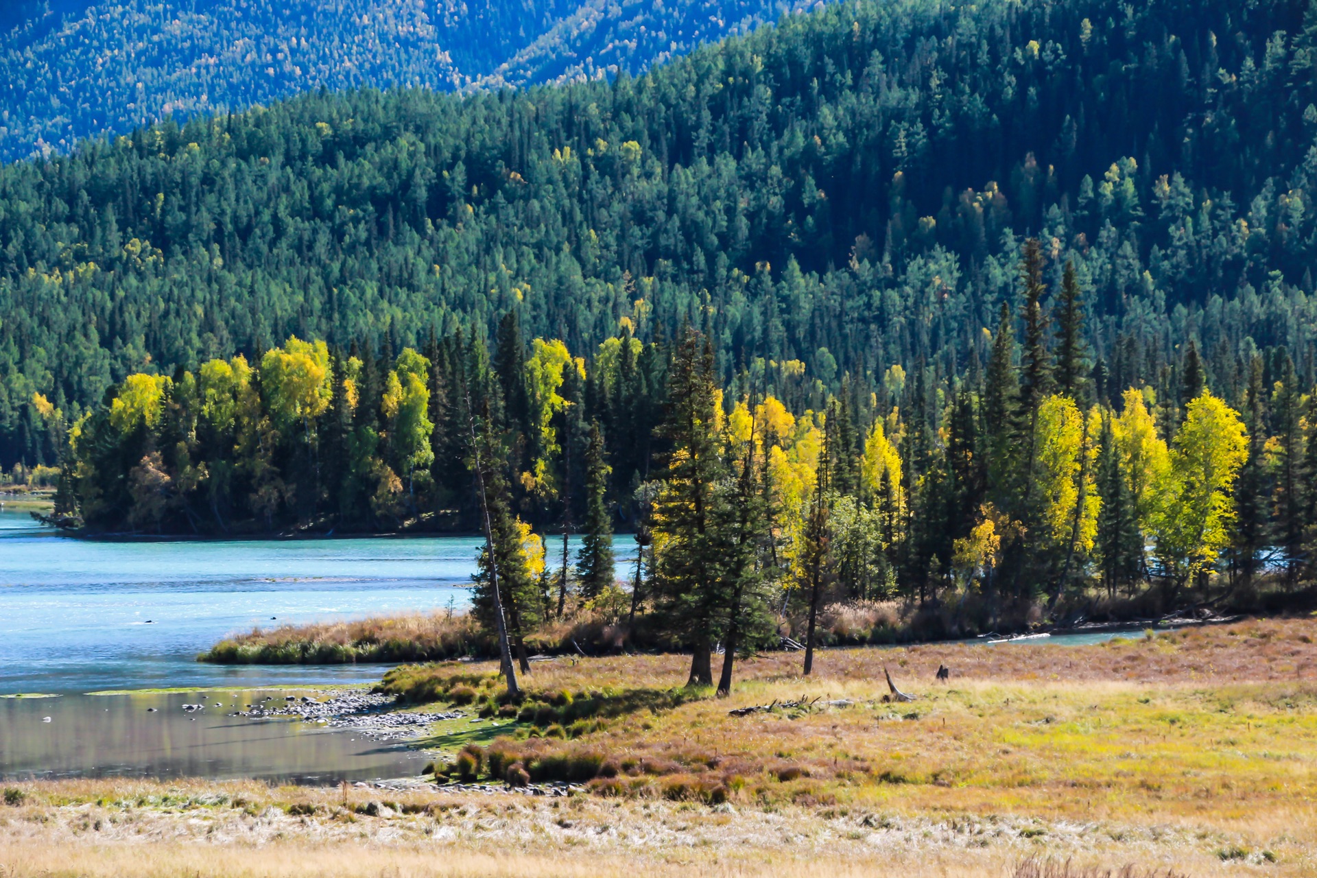 新疆的魅力与风情